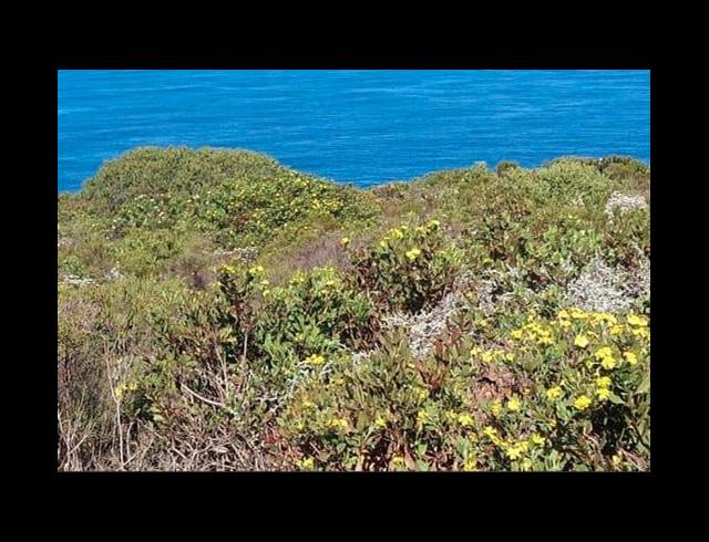 LAND FOR SALE IN VILLAGE ON SEA